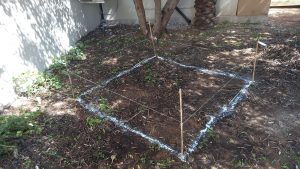 הקמת בריכה אקולוגית