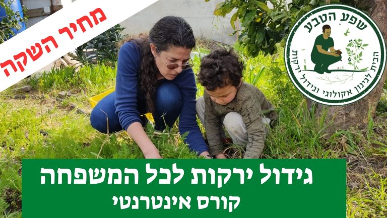 קורס-דיגיטלי-חדש-מבוא