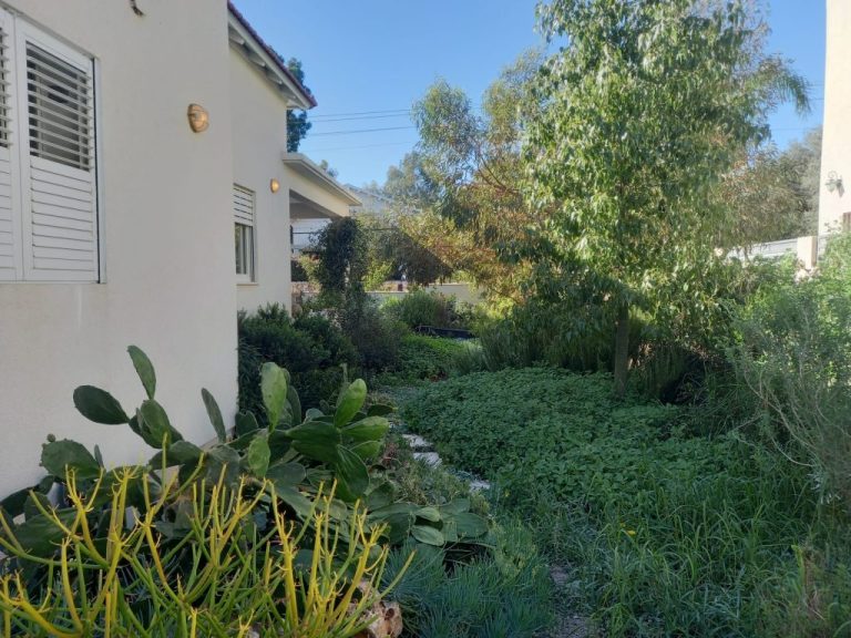 שיטה 5 - שתילה צפופה