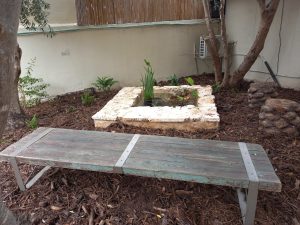 הקמת בריכה אקולוגית