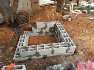 הקמת בריכה אקולוגית