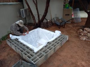 הקמת בריכה אקולוגית