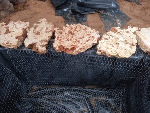 הקמת בריכה אקולוגית