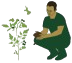 שפע טבע לוגו