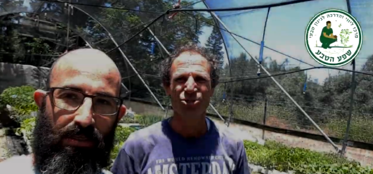 איזה ירקות שותלים בתחילת הקיץ