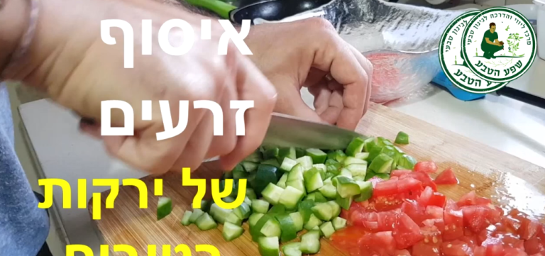 איסוף זרעים של ירקות רטובים