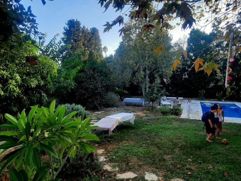 הגינה של קורין בפרדס חנה- אחרי