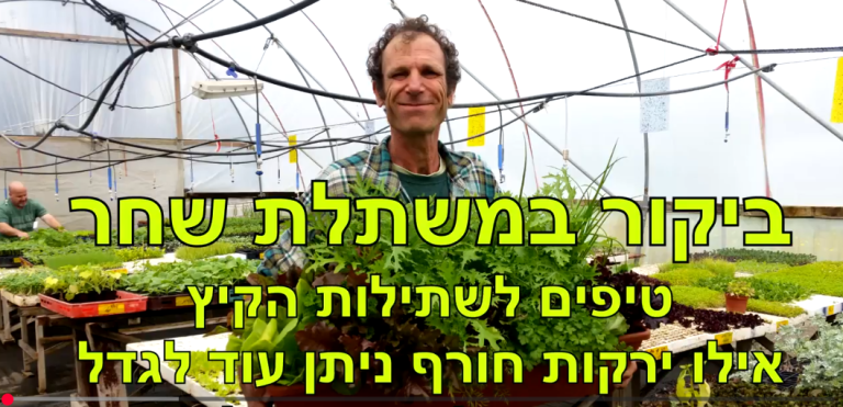 טיפים לגידול ירקות קיץ - ביקור במשתלת שחר