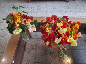 זרי כובע נזיר לשבת (תמונה: נורית אמיתי)