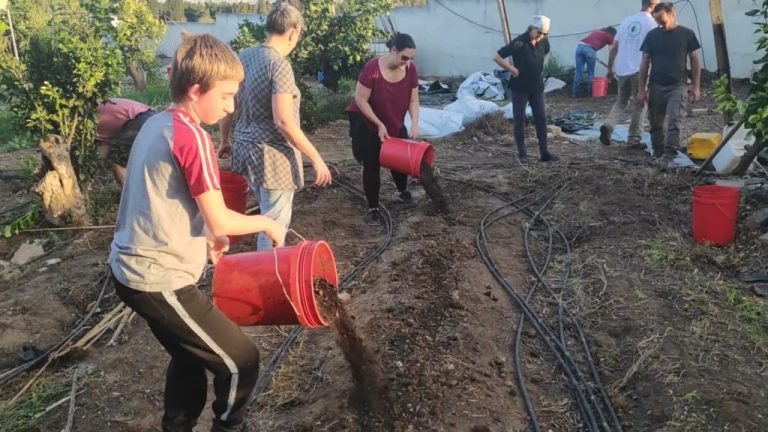 גינה, גוף ונפש – איך עבודה בגינה משפרת לנו את איכות החיים?