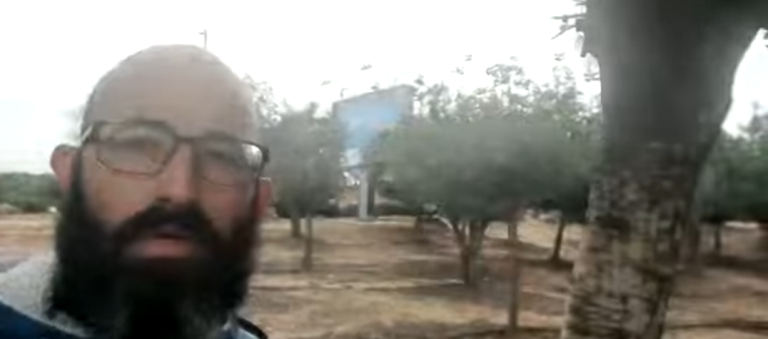 איך לגזום עצים נכון בגינה הפרטית