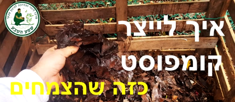 איך להכין קומפוסט