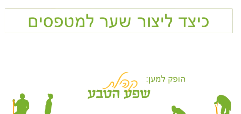 איך להקים שער למטפסים