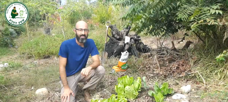 איך נזין את הצמח: דשן כימי או קומפוסט
