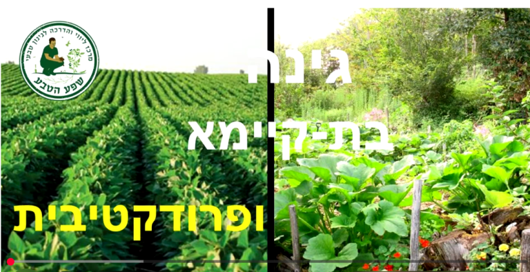גינה שהיא גם טבעית וגם פרודקטיבית