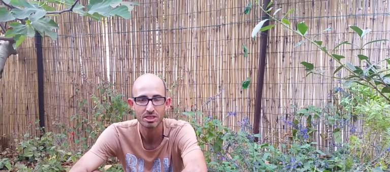 הדברה ביולוגית בגינה ויצירת בתי גידול