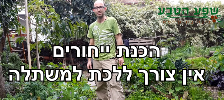 הכנת ייחורים בעצמך, הדרך הפשוטה להכנת