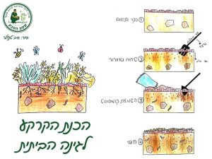 סיכום הכנת קרקע בגינת הירקות שלנו: תיחום, איורור, הוספת קומפוסט וחיפוי הקרקע