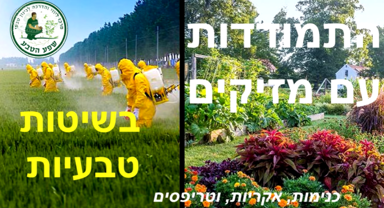 התמודדות עם כנימות עלה בשיטות טבעיות