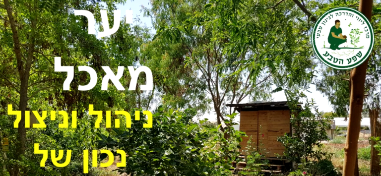 יער מאכל - ניהול וניצול נכון של שטחים