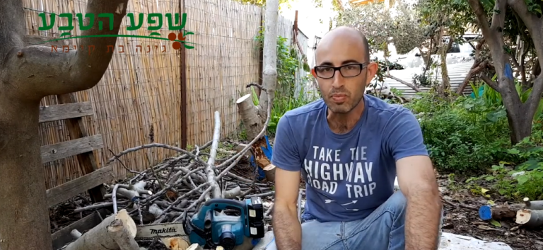 יקרונית התאנה