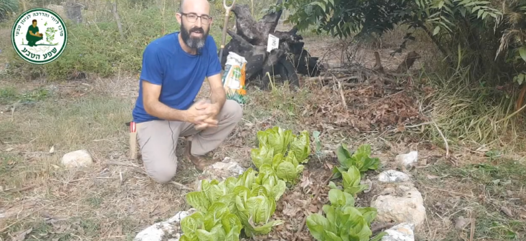 כיצד אדמה טובה צריכה להראות