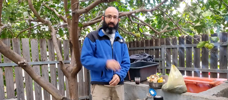 כיצד להקים חוות תולעים בכדי לייצר הומוס