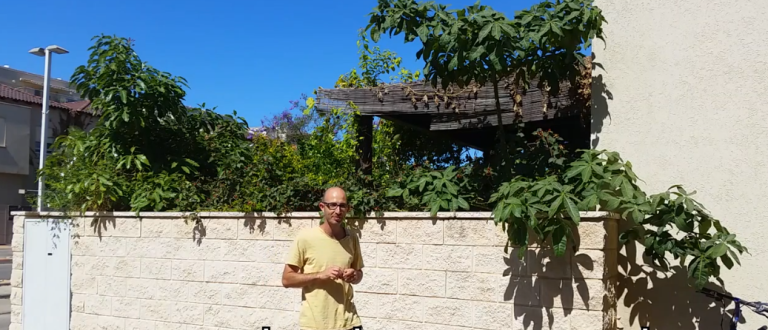 עיצוב ותכנון גינה קטנה ומניבה