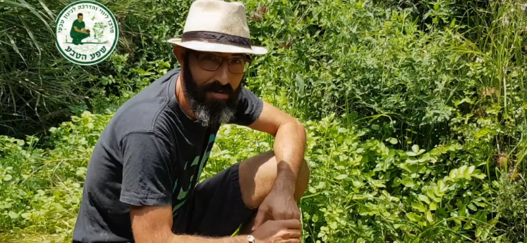צמחי בר אכילים שניתן למצוא בנחלים