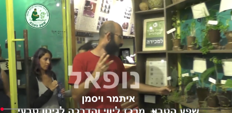 קקטוס נופאל - אורח