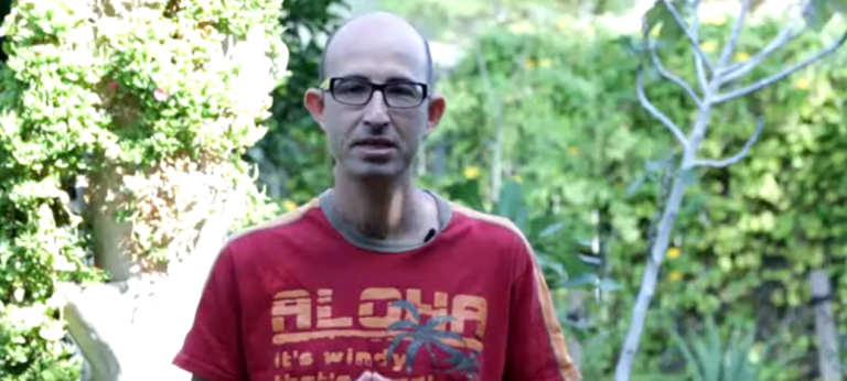 שילוב נכון של צמחייה בגינה