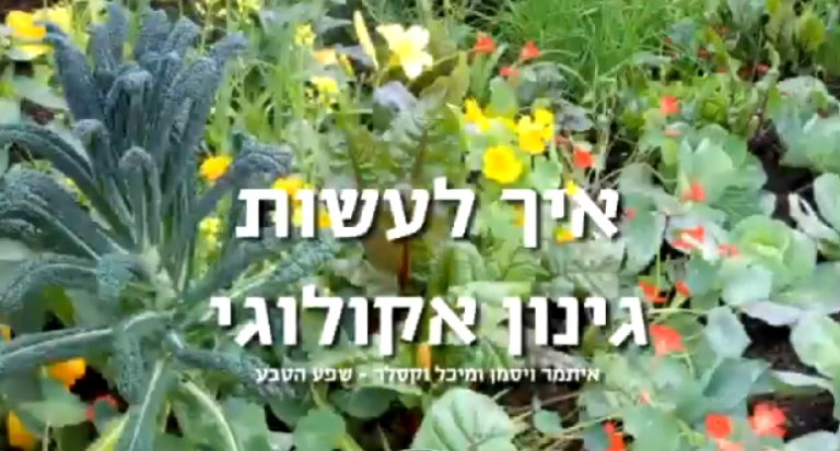 תכנון של גינה אקולוגית, - הרצאה