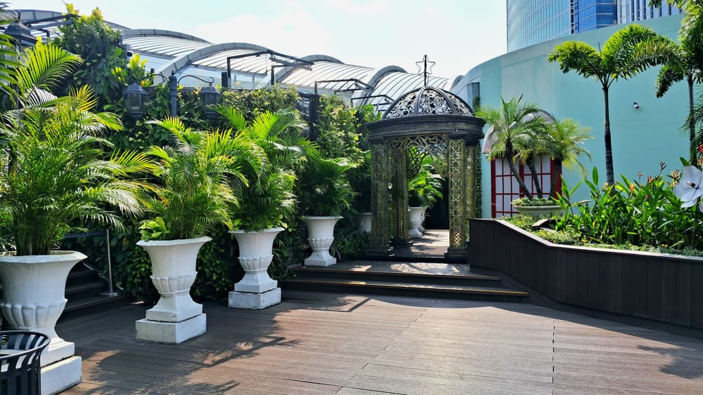 עיצוב גינה על הגג