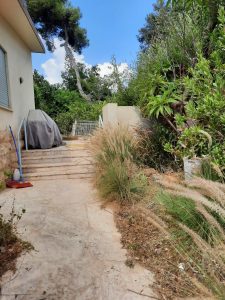 תכנון גינה בבית פרטי