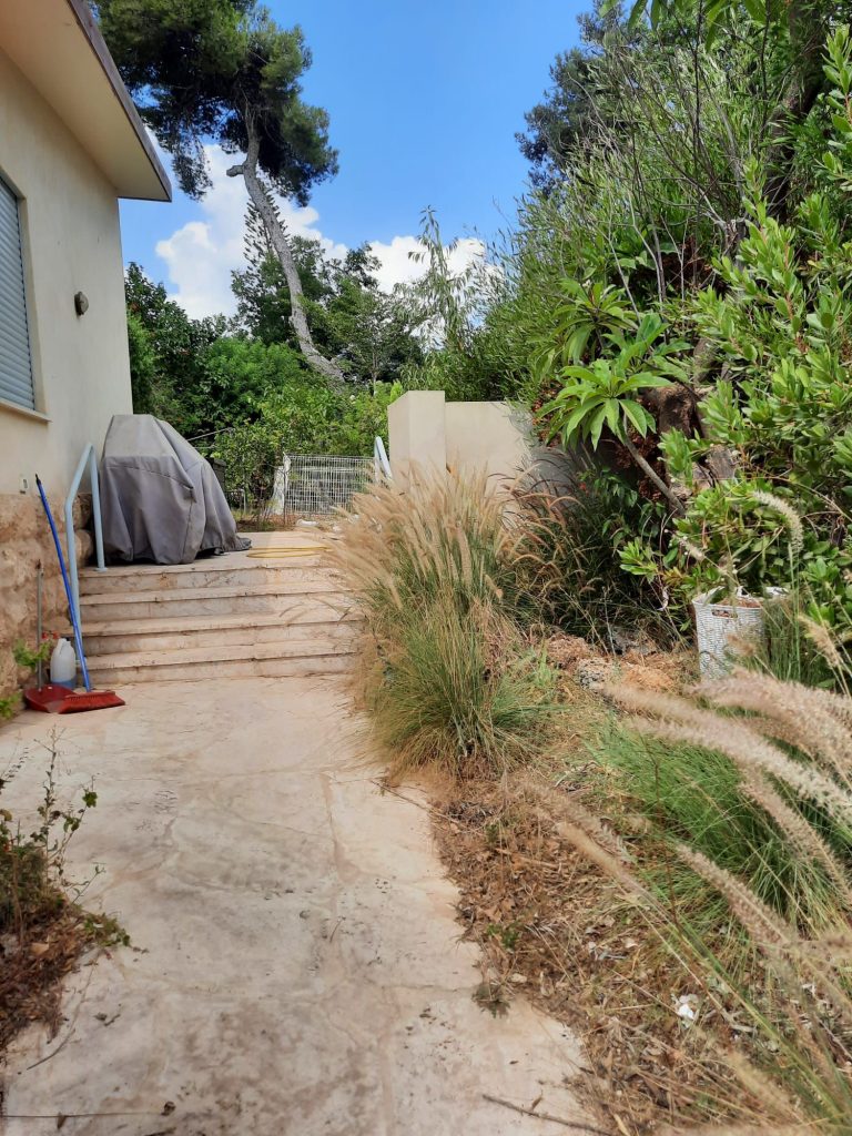 תכנון גינה בבית פרטי