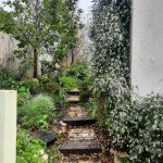 גינה ארצישראלית שתכנננו