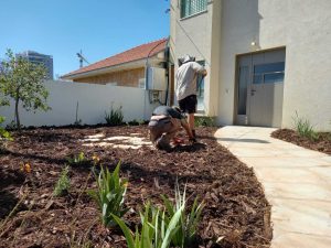 חיפוי בשבבי עץ. הכי נכון לאדמה