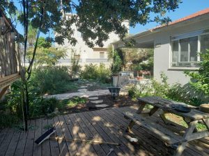 משטח דק מחליף מדשאה