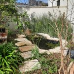 שילוב בריכה אקולגית בגינת היער