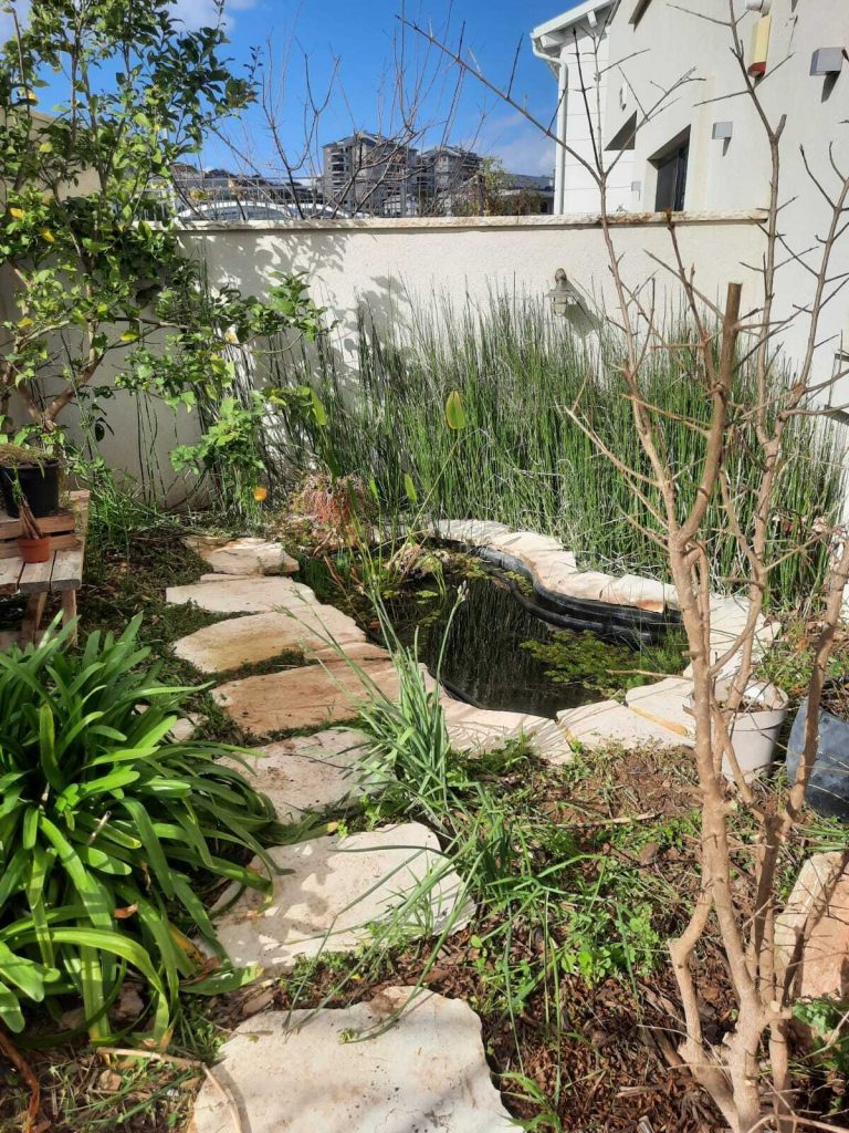 שילוב בריכה אקולגית בגינת היער