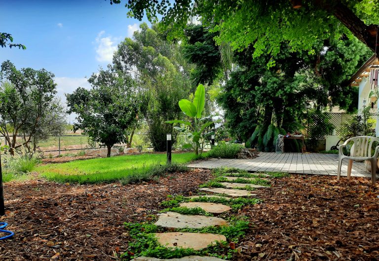 חיפוי קרקע בגינה