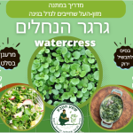 גרגר הנחלים