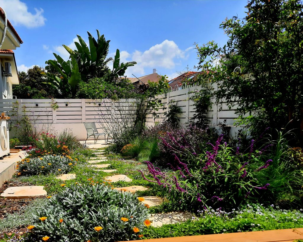 ראשית אליכין