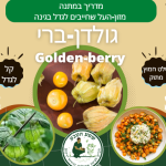 גולדן ברי