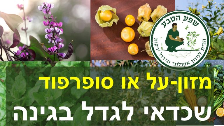 שילוב מזונות־על בגינה